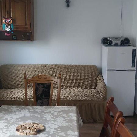 Casa M Lägenhet Câmpulung Moldovenesc Exteriör bild