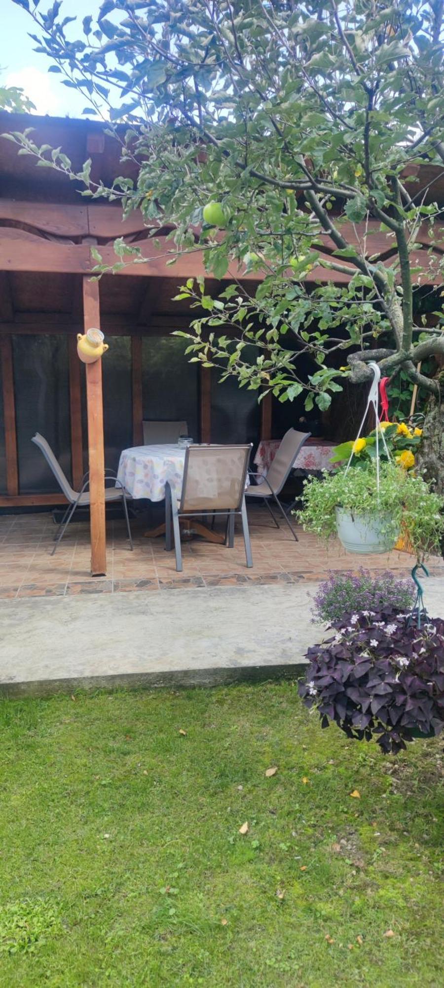 Casa M Lägenhet Câmpulung Moldovenesc Exteriör bild